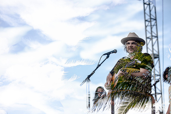 Tweedy in concert