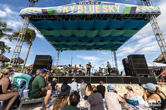 Tweedy in concert