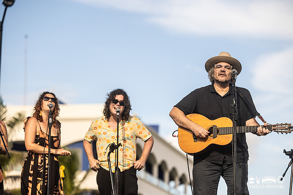 Tweedy in concert