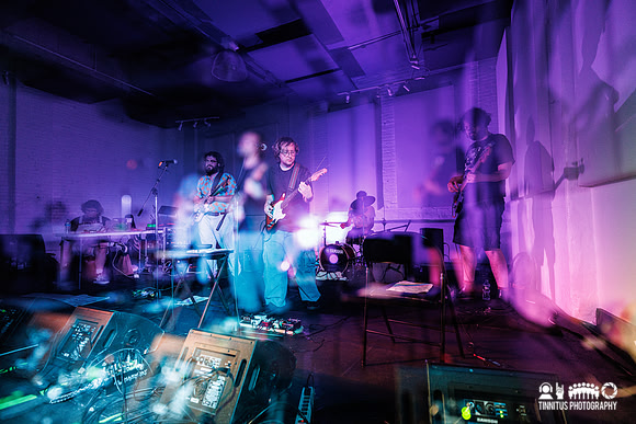 Orchid Mantis in concert