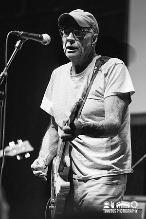 Tobin Sprout in concert