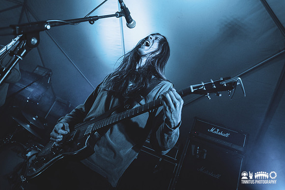 Elder in concert