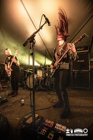 Elder in concert