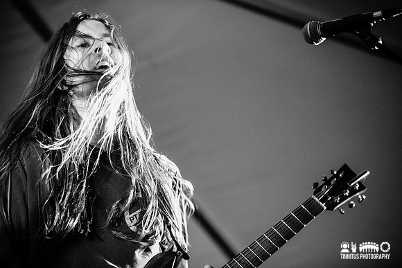 Elder in concert