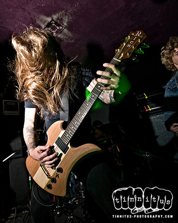 Let The Night Roar in concert