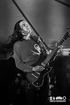 Elder in concert