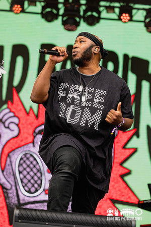 Bad Rabbits in concert