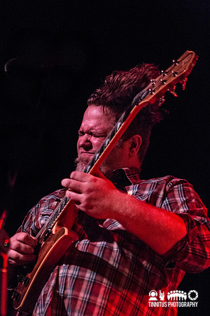 Gozu in concert