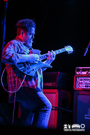 Gozu in concert