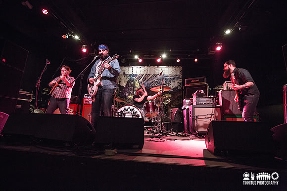 Gozu in concert