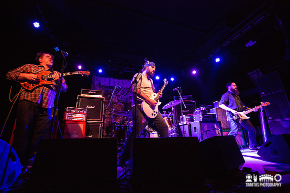 Gozu in concert