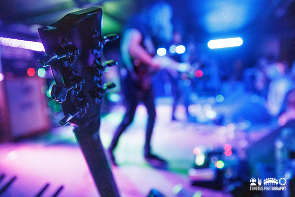 Elder in concert