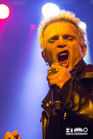 Billy Idol in concert