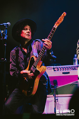 The Afghan Whigs in concert