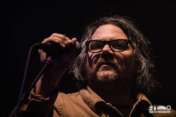 Wilco in concert