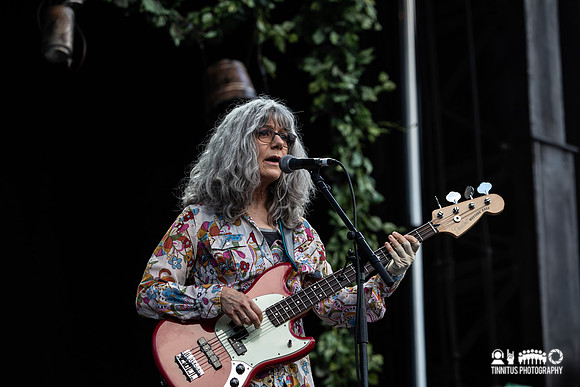 The Feelies in concert
