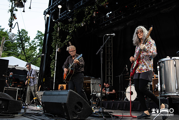 The Feelies in concert