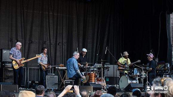 Tortoise in concert