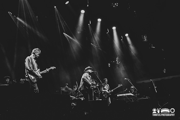 Wilco in concert