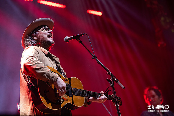 Wilco in concert