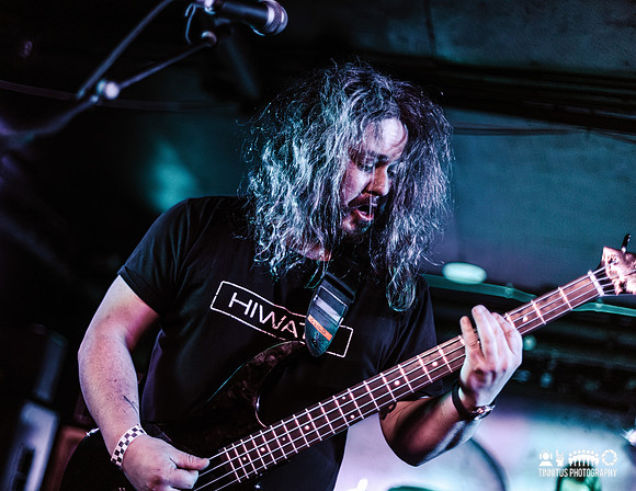 Elder in concert
