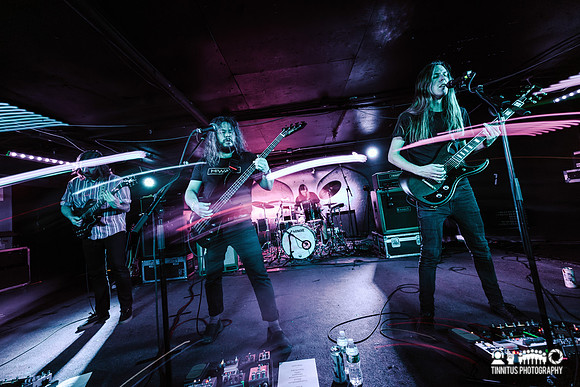 Elder in concert