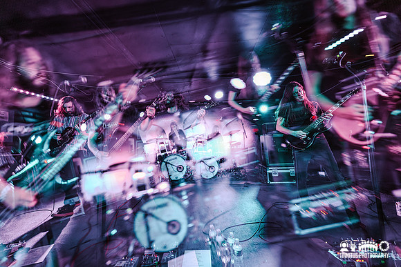 Elder in concert