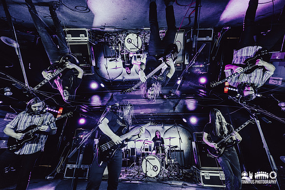 Elder in concert
