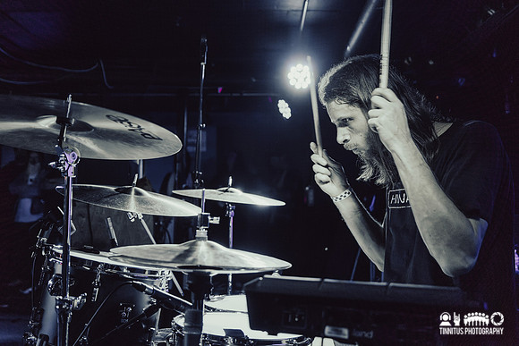 Elder in concert