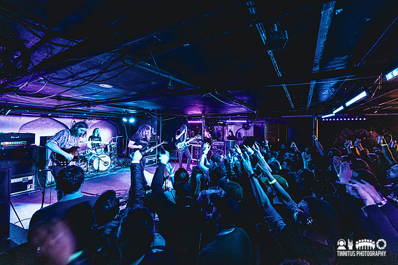 Elder in concert