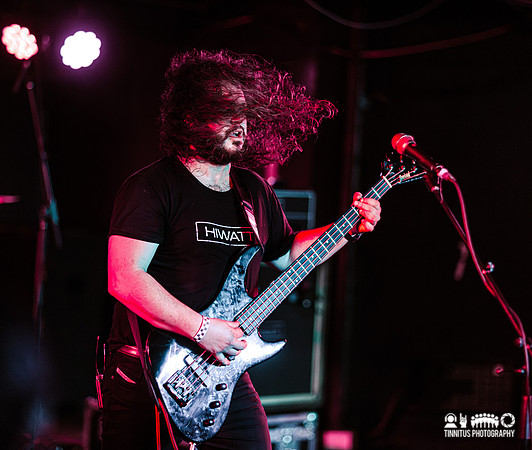 Elder in concert