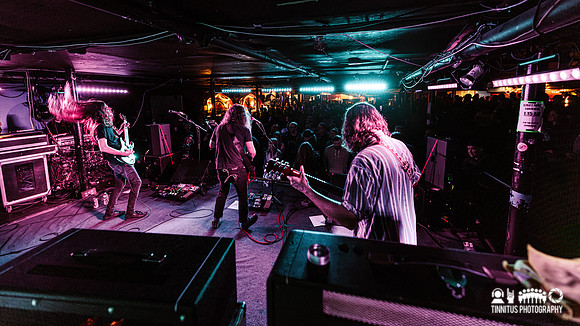 Elder in concert