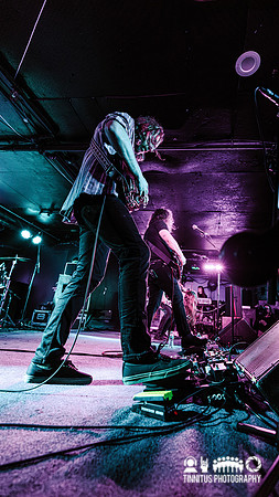Elder in concert
