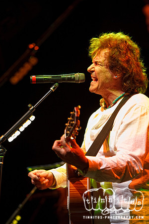The Outlaws in Concert
