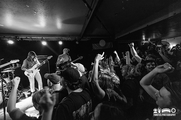 Constant Mongrel in concert