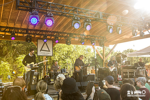 The Feelies in concert