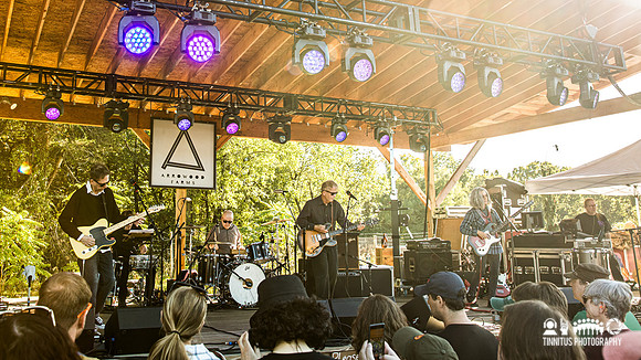 The Feelies in concert