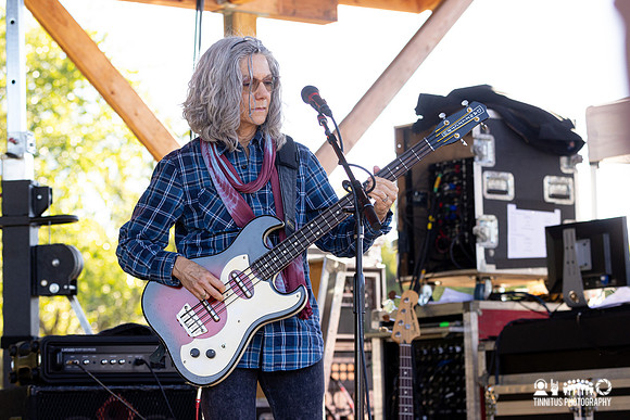 The Feelies in concert