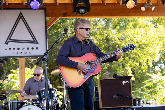 The Feelies in concert