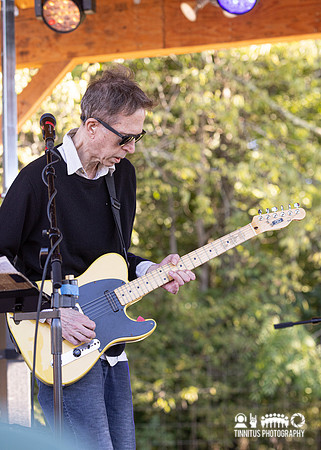 The Feelies in concert