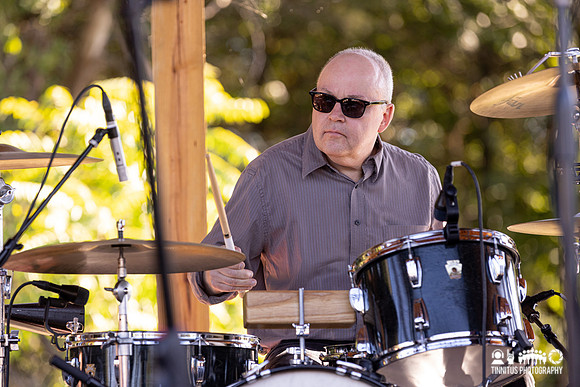 The Feelies in concert