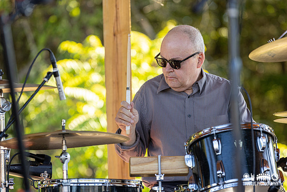 The Feelies in concert