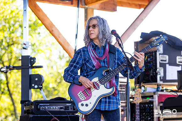 The Feelies in concert