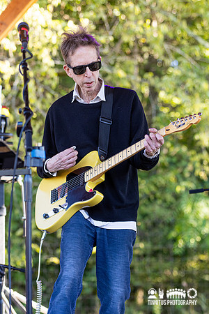 The Feelies in concert