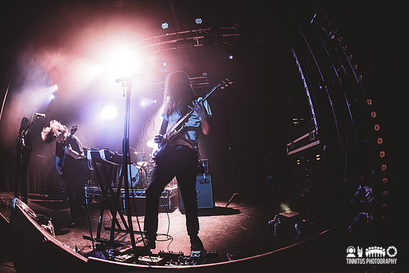 Elder in concert
