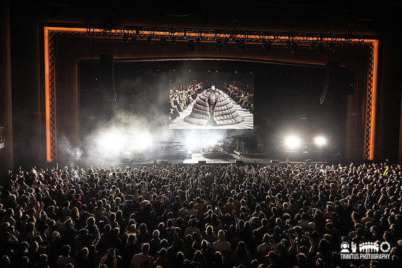 Oliver Tree in concert