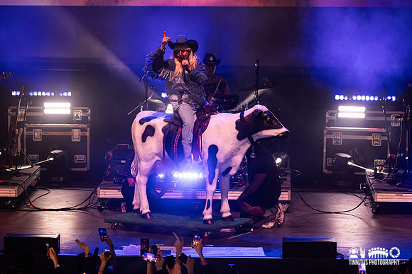 Oliver Tree in concert