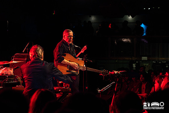 Swans in concert