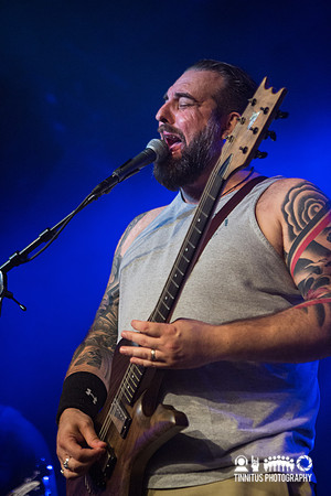 Gozu in concert