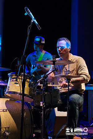 Tortoise in concert